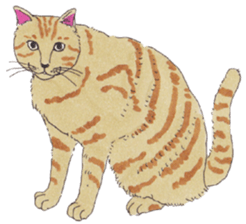 Free life of stay cats(new) sticker #7732033