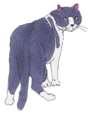 Free life of stay cats(new) sticker #7732035