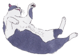 Free life of stay cats(new) sticker #7732036