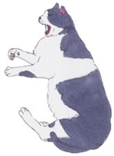 Free life of stay cats(new) sticker #7732041