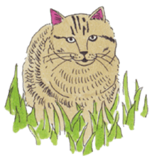 Free life of stay cats(new) sticker #7732042