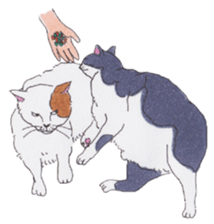 Free life of stay cats(new) sticker #7732044