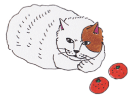 Free life of stay cats(new) sticker #7732048