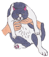 Free life of stay cats(new) sticker #7732052