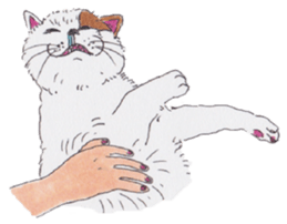 Free life of stay cats(new) sticker #7732055