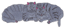 Free life of stay cats(new) sticker #7732061