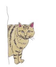 Free life of stay cats(new) sticker #7732065