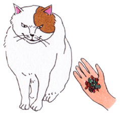 Free life of stay cats(new) sticker #7732067