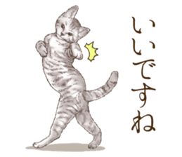 Strange pose cat 3 sticker #7732396