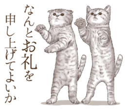 Strange pose cat 3 sticker #7732401