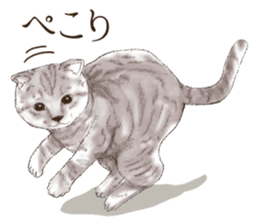 Strange pose cat 3 sticker #7732402