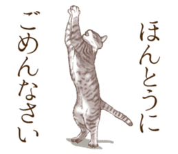 Strange pose cat 3 sticker #7732403