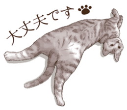 Strange pose cat 3 sticker #7732408