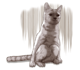 Strange pose cat 3 sticker #7732425
