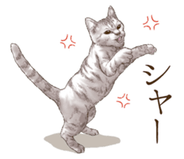 Strange pose cat 3 sticker #7732426