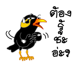 sharp-tongued Hill Myna (Khun Thong) sticker #7733517