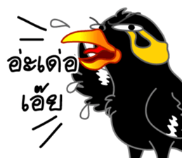 sharp-tongued Hill Myna (Khun Thong) sticker #7733519