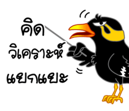 sharp-tongued Hill Myna (Khun Thong) sticker #7733520