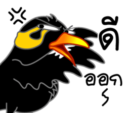 sharp-tongued Hill Myna (Khun Thong) sticker #7733521