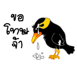 sharp-tongued Hill Myna (Khun Thong) sticker #7733530