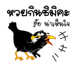 sharp-tongued Hill Myna (Khun Thong) sticker #7733537