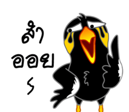 sharp-tongued Hill Myna (Khun Thong) sticker #7733541