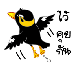 sharp-tongued Hill Myna (Khun Thong) sticker #7733543