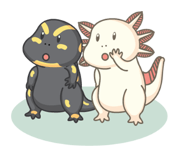 BOBO The salamander and friend sticker #7734141