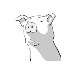 Hapless pig sticker #7735189