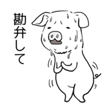 Hapless pig sticker #7735224