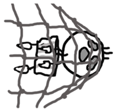 Mr honda 2 sticker #7735401