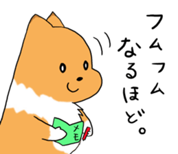 Shelty boy LAR 2 sticker #7735876