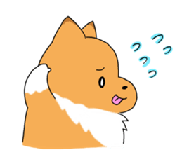 Shelty boy LAR 2 sticker #7735883