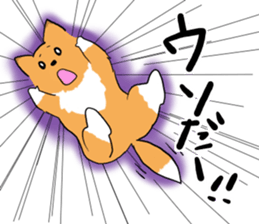 Shelty boy LAR 2 sticker #7735888