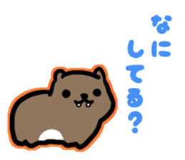 Cape Hyrax of stickers. sticker #7738469