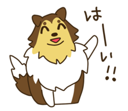 I AM SHELTIE sticker #7739475