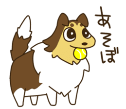 I AM SHELTIE sticker #7739479