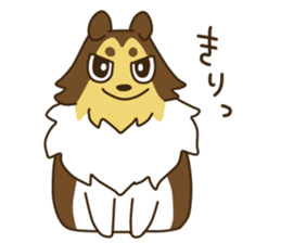 I AM SHELTIE sticker #7739498