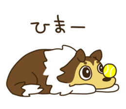 I AM SHELTIE sticker #7739500