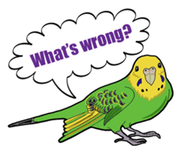 Birds of the world sticker #7740229