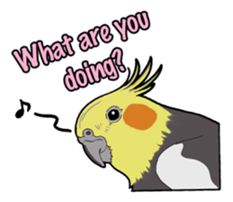 Birds of the world sticker #7740231