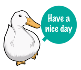 Birds of the world sticker #7740232