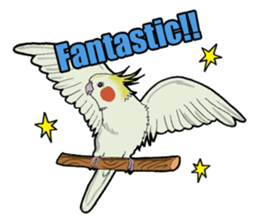 Birds of the world sticker #7740238