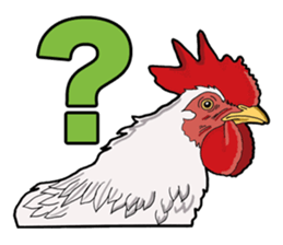 Birds of the world sticker #7740239