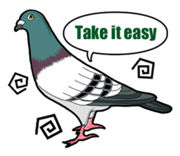 Birds of the world sticker #7740246