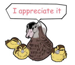 Birds of the world sticker #7740249