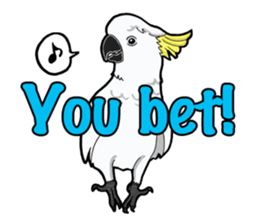 Birds of the world sticker #7740250