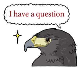 Birds of the world sticker #7740255