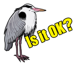 Birds of the world sticker #7740258