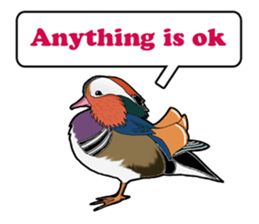 Birds of the world sticker #7740261